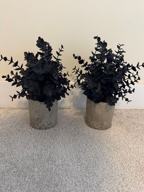 2 Black Faux Eucalyptus Plant in Concrete Pot - Decorative Home Accent